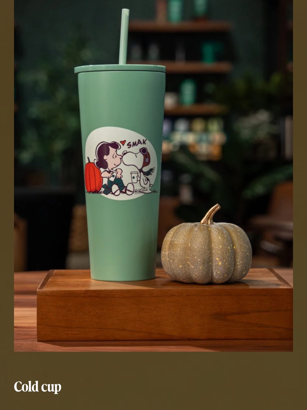 Peanuts Mint Green Stainless Travel Tumbler with Straw